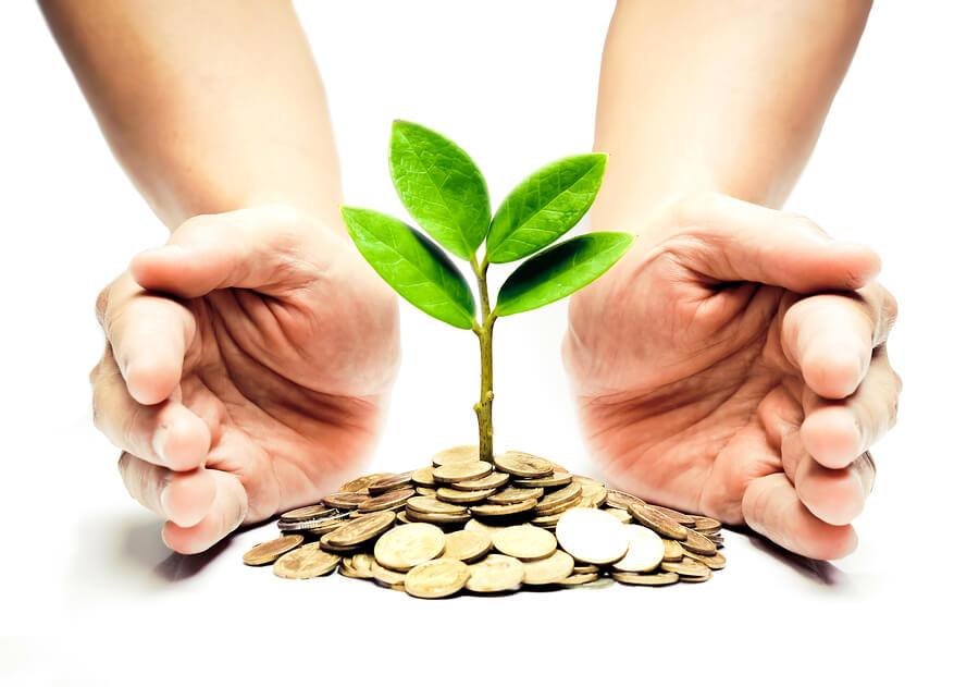 Palms with a tree growing from pile of coins / hands holding a tree growing on coins / csr green business / business ethics / good governance