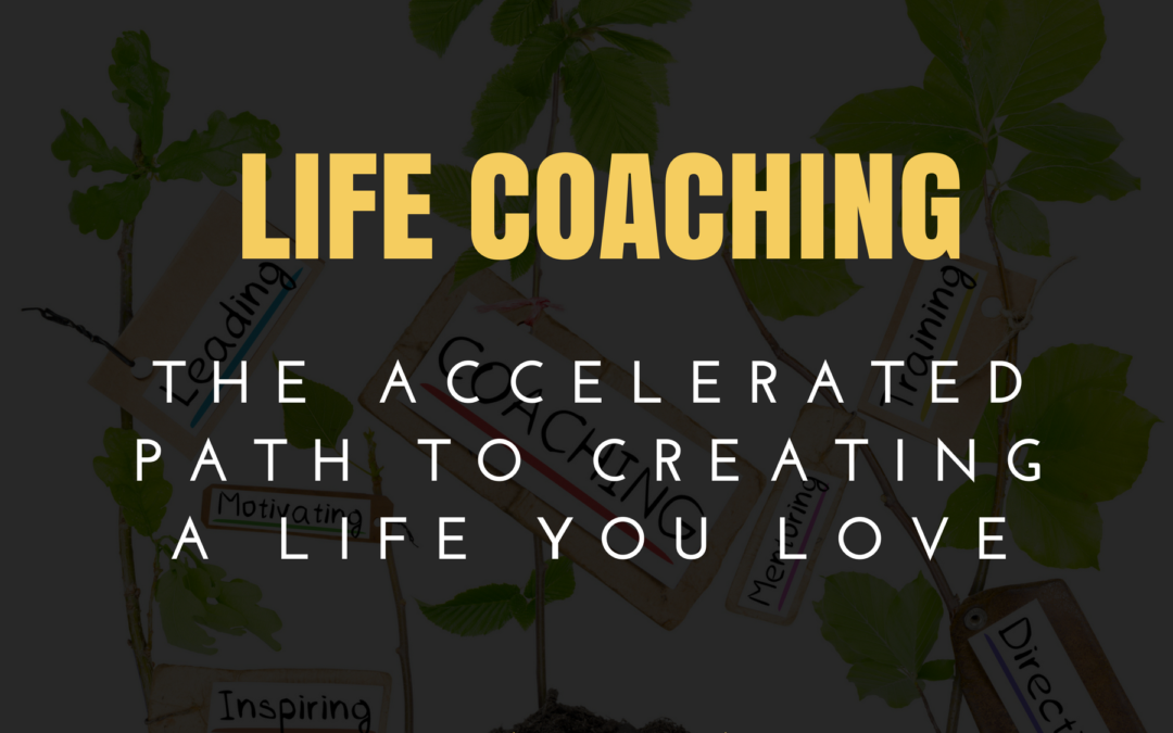 Life Coaching: The Accelerated Path to Creating a Life You Love